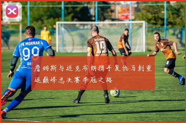 詹姆斯与迈克布朗携手复仇马刺重返巅峰总决赛夺冠之路